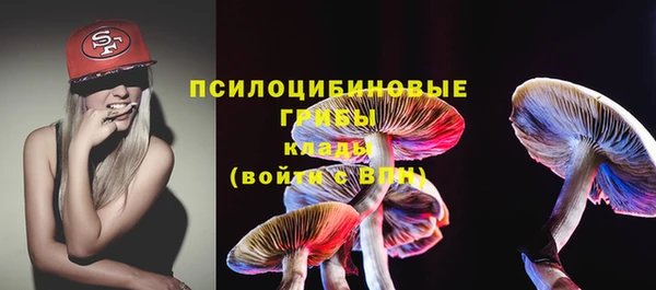 ешки Иннополис