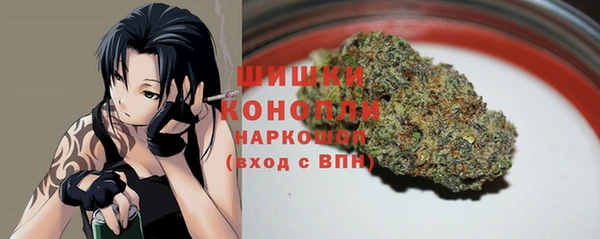 дмт Инсар