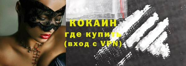 дмт Инсар