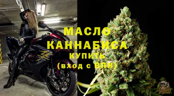метадон Инта