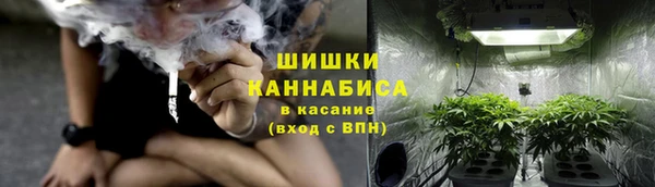 PSILOCYBIN Каменногорск