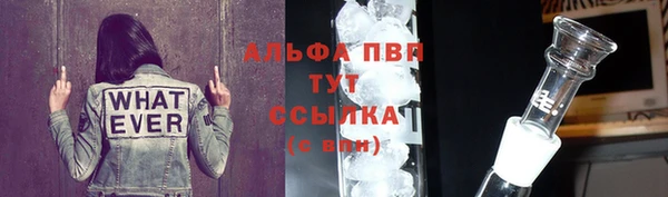 метадон Инта