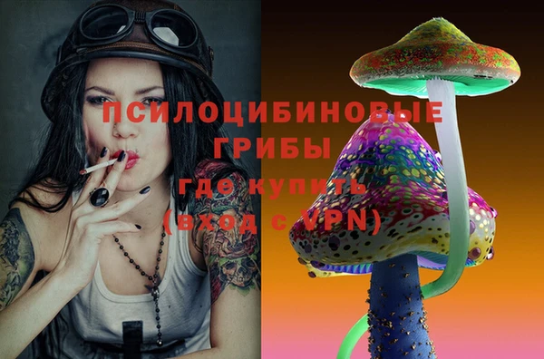 ешки Иннополис
