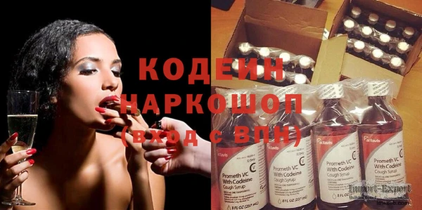 дмт Инсар